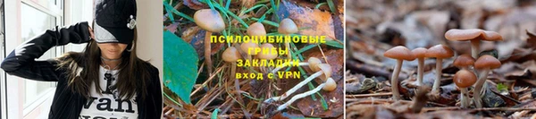 MDMA Premium VHQ Нефтегорск