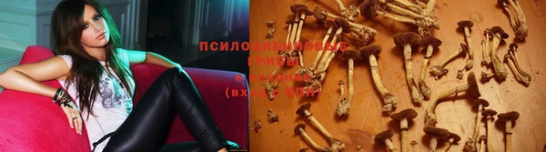 бошки Нефтекумск