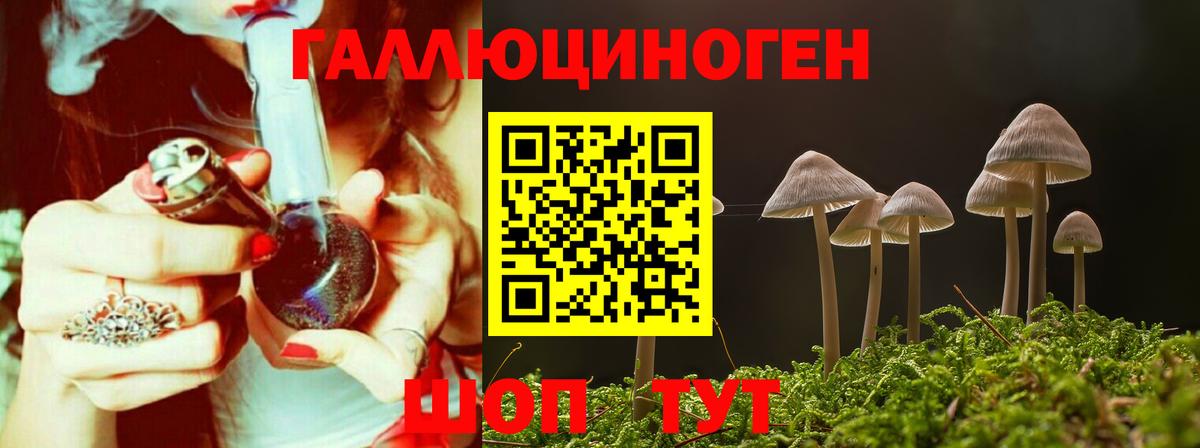 Галлюциногенные грибы Cubensis  закладка  Нефтекамск  Галлюциногенные грибы мицелий 