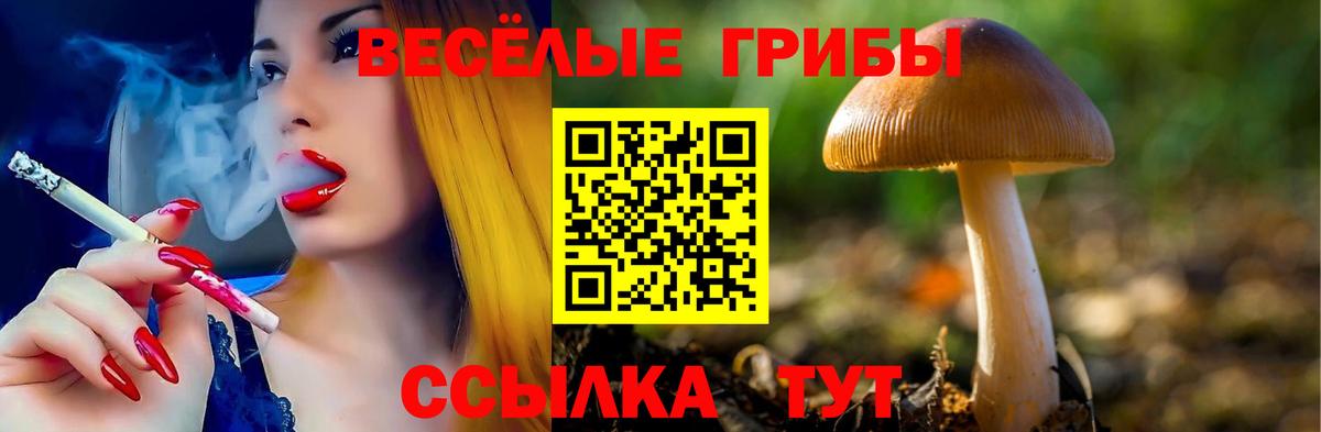 Галлюциногенные грибы Psilocybine cubensis  Вход с VPN  Нефтекамск 